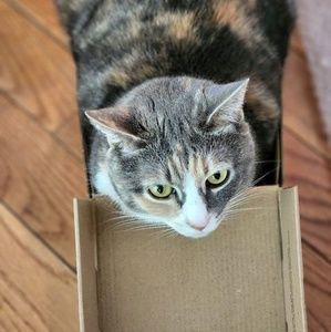 Meet your Posher, Carol